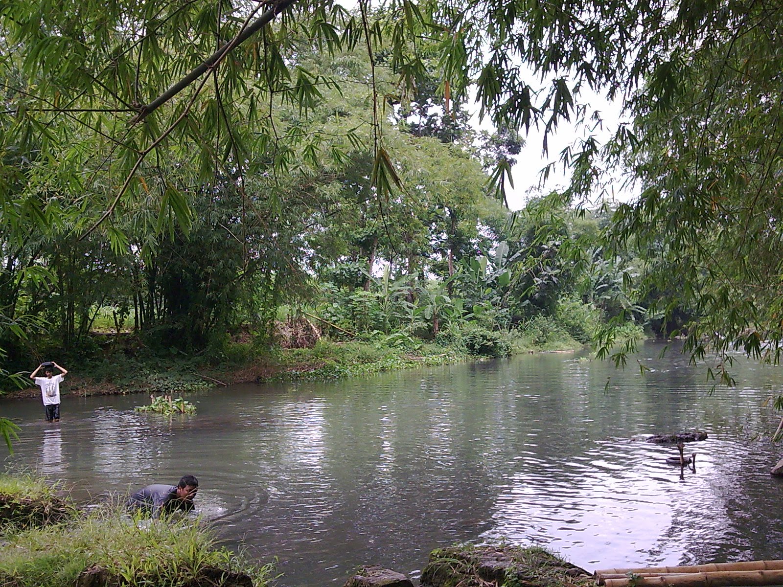 Download 8800 Gambar Gosong Sungai Paling Bagus 